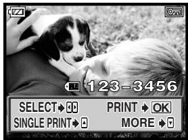 OLYMPUS E-300 - Selecting pictures you want to print - 1