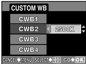 OLYMPUS E-300 - CUSTOM WB - 3