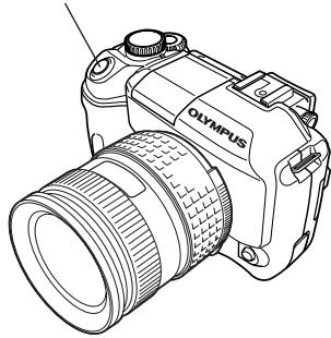 OLYMPUS E-300 - Press the shutter button all the way. - 1