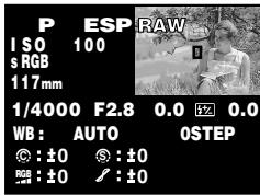 OLYMPUS E-300 - Shooting information - 1
