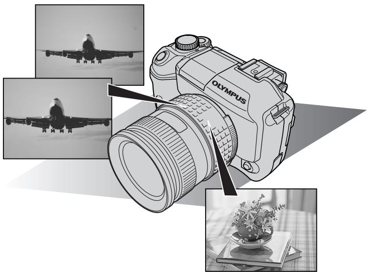 OLYMPUS E-300 - Focusing functions - 1