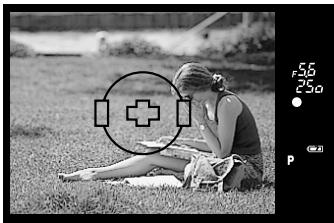 OLYMPUS E-300 - While keeping the shutter button pressed halfway, re-compose your shot. - 3