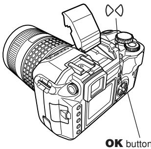 OLYMPUS E-300 - Using the built-in flash - 5