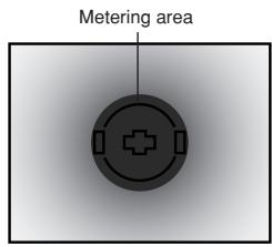 OLYMPUS E-300 - Spot metering - 1