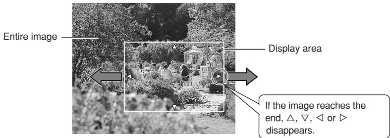 OLYMPUS E-300 - Displacing the image - 1