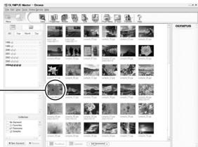 OLYMPUS E-300 - Double-click the thumbnail of the image you want to view. - 1