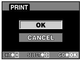 OLYMPUS E-300 - Printing - 1