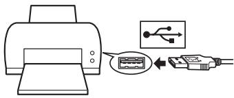 OLYMPUS E-300 - Plug the USB cable into the camera's USB connector and turn the camera on. - 1