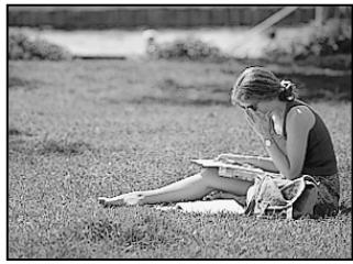OLYMPUS E-300 - If correct focus cannot be obtained - 1
