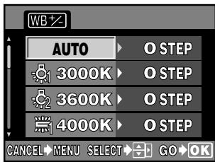 OLYMPUS E-300 - WB compensation - 3