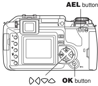 OLYMPUS E-300 - WB compensation - 2