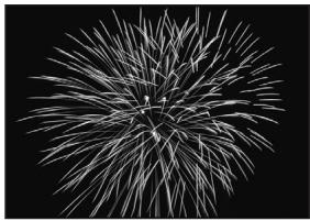 OLYMPUS E-300 - FIREWORKS - 1