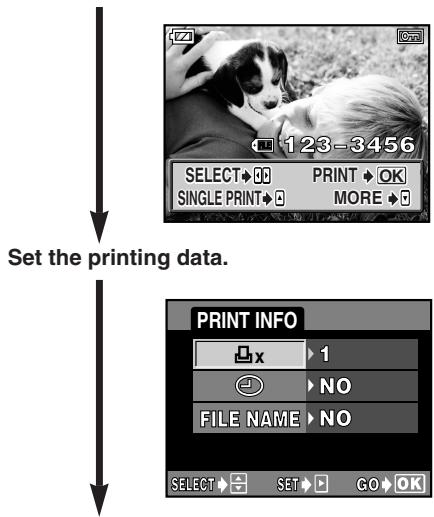 OLYMPUS E-300 - Select frames you want to print. - 1