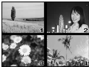 OLYMPUS E-300 - Shooting information - 3