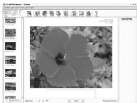 OLYMPUS E-300 - Double-click the thumbnail of the image you want to view. - 2