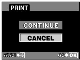 OLYMPUS E-300 - Printing - 2