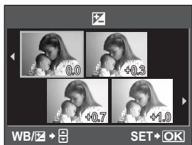 OLYMPUS E-30 - Notes - 1