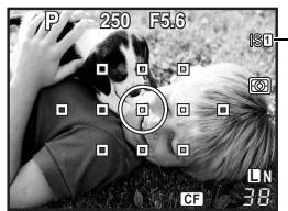 OLYMPUS E-30 - Checking the image stabilizer effect with live view - 1