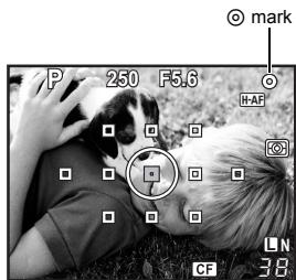 P 250 F5.6 mark H-AP LN 38 CF