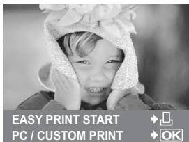 EASY PRINT START PC / CUSTOM PRINT OK