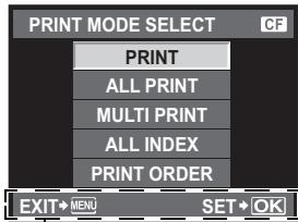 PRINT MODE SELECT PRINT ALL PRINT MULTI PRINT ALL INDEX PRINT ORDER EXIT→MENI SET→OK