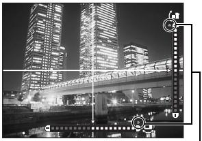 OLYMPUS E-30 - Monitor indication: - 1