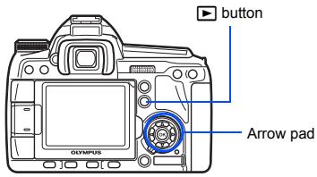 button Arrow pad