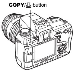 COPY/ button