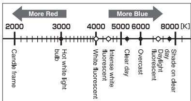 More Red Candle frame Hot white light bulb White fluorescent Intense while fluorescent Clear day Overcast Daylight Fluorescent Shade on dear 8000 [K] More Blue