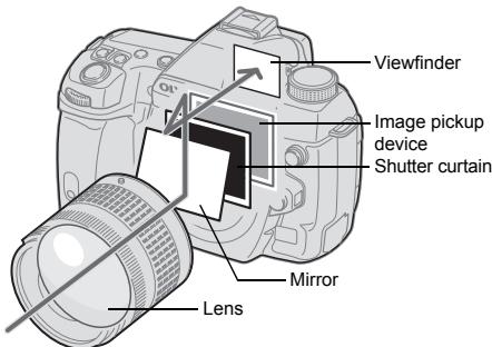 Viewfinder Image pickup device Shutter curtain Mirror Lens