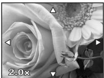 OLYMPUS E-30 - Use Ⓞ to select images you want to view. You can also turn the dial to switch to Ⓠ for close-up playback. - 5