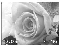 OLYMPUS E-30 - Use Ⓞ to select images you want to view. You can also turn the dial to switch to Ⓠ for close-up playback. - 8