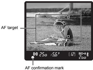 AF target AF confirmation mark