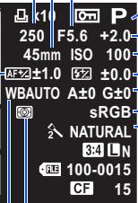 250 F5.6 +2.0 45mm ISO 100 AF±1.0 ±0.0 WBAUTO A±0 G±0 sRGB NATURAL 3:4 L N 100-0015 CF 15