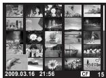 OLYMPUS E-30 - Index display/Calendar display - 16