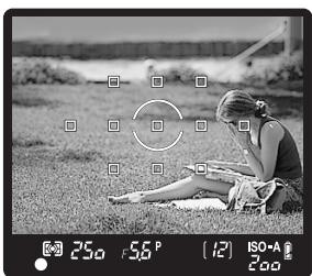 OLYMPUS E-30 - While pressing the shutter button halfway, move to the desired composition and press the button all the way. - 1