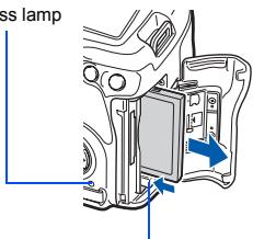 ss lamp