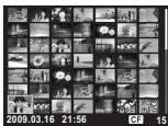 OLYMPUS E-30 - Index display/Calendar display - 14