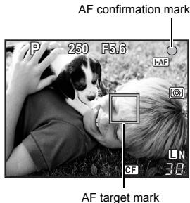 AF confirmation mark P 250 F5.6 I-AF CF 38 AF target mark