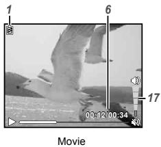 OLYMPUS D-705 - Playback mode display - 2
