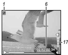 OLYMPUS D-710 - Playback mode display - 2
