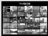 OLYMPUS D-710 - Index view and close-up view - 7
