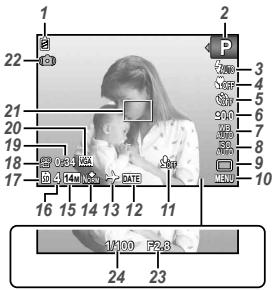 OLYMPUS D-710 - Shooting mode display - 1