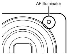 OLYMPUS D-710 - Using the AF illuminator to focus on a shadowed subject [AF Illuminat.] (VG-140/D-715, VG-130/D-710) - 1