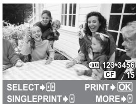SELECT→0 SINGLEPRINT→0 123-3456 CF 15 PRINT→OK MORE→0