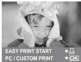 EASY PRINT START PC / CUSTOM PRINT OK
