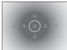 OLYMPUS E-600 - ☐ H / Spot metering - highlight control - 1