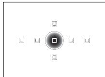 OLYMPUS E-600 - ☐ H / Spot metering - highlight control - 2
