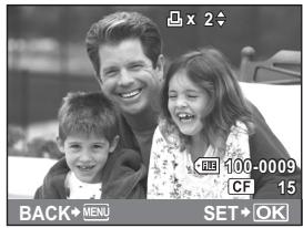 2 x 2 100-0009 CF 15 BACK MENU SET OK
