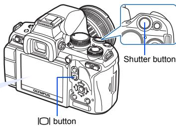 Shutter button OLEDUS | button